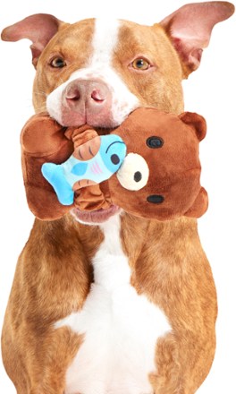 National Park Plush Dog Toy