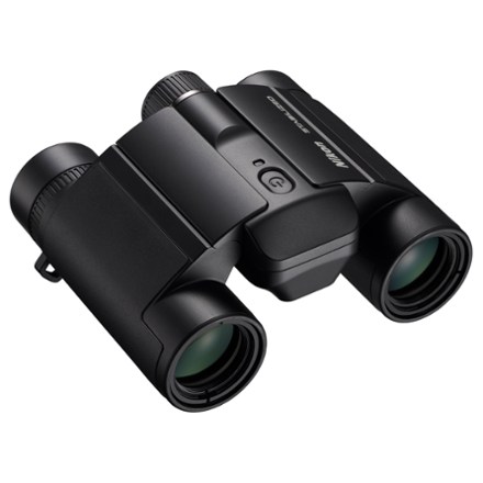 Stabilized x 25 S Binoculars