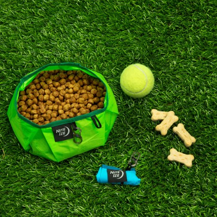 RadDog Collapsible Dog Bowl