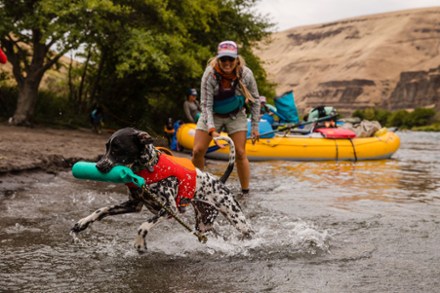 Float Coat Dog Life Jacket