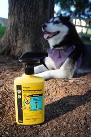 Permethrin Insect Repellent Treatment for Dogs