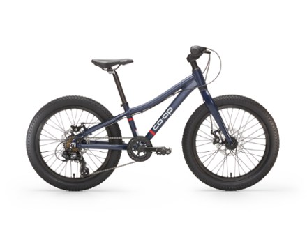 REV 20 6-Speed Plus Kids' Mountain Bike