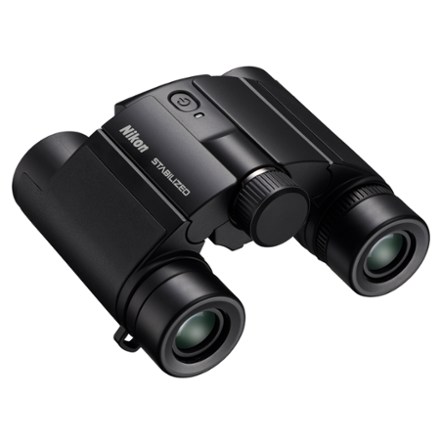 Stabilized x 25 S Binoculars