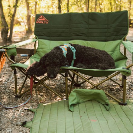 Front Range Dog Harness