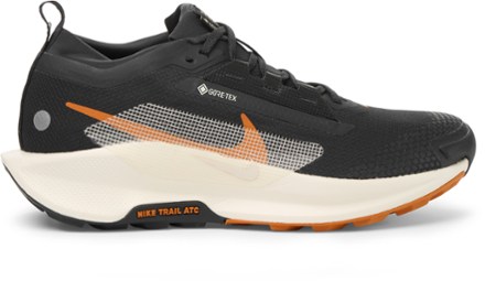 Pegasus Trail 5 GORE-TEX Trail-Running Shoes - Men's