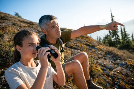 Stabilized x 25 S Binoculars