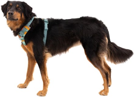 Front Range Dog Harness