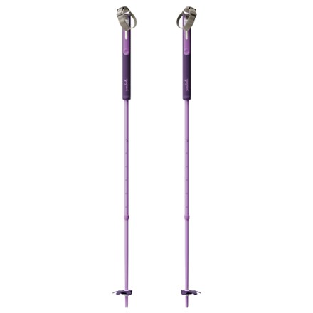 P2 Ski Poles - Pair