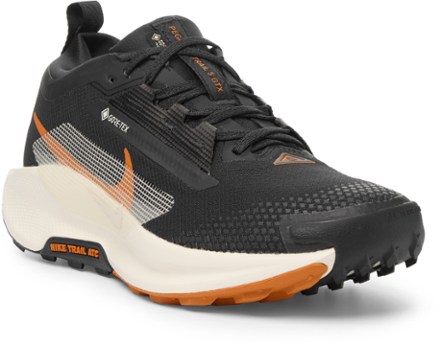 Pegasus Trail 5 GORE-TEX Trail-Running Shoes - Men's