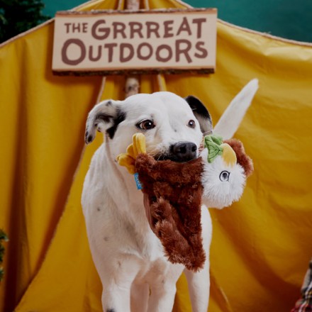 Great Outdoors Plus Dog Toy