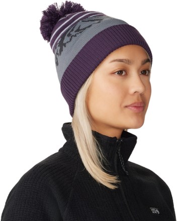 ApresPro Beanie