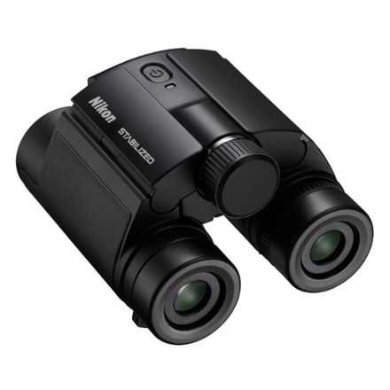 Stabilized x 25 S Binoculars