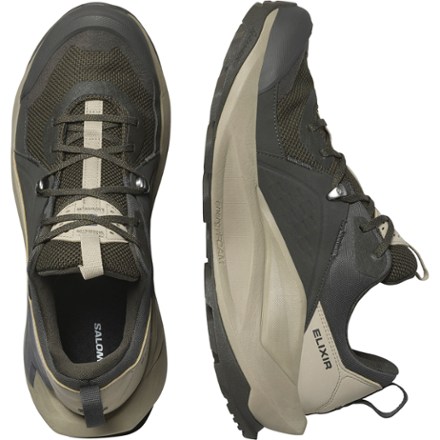 Elixir GORE-TEX Hiking Shoes - Men's