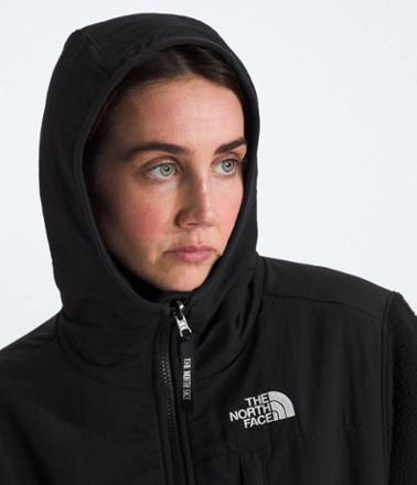 Retro Denali Hoodie - Women's