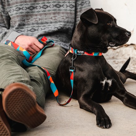 ShatterShapes Leash