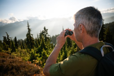 Stabilized x 25 S Binoculars