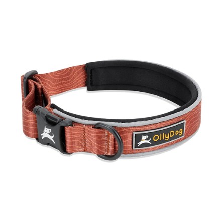 Flagstaff Reflective Comfort Adjustable Dog Collar