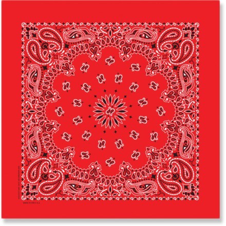 Paisley Bandana