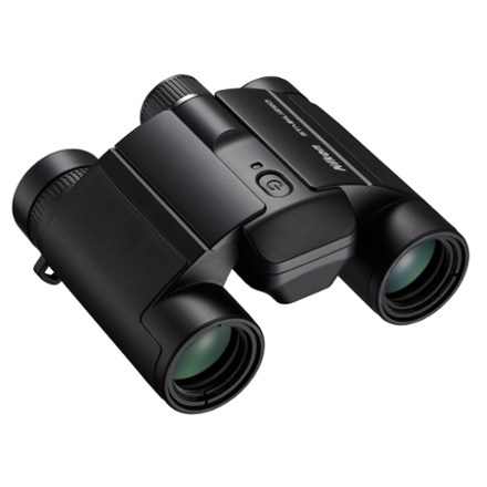 Stabilized x 25 S Binoculars