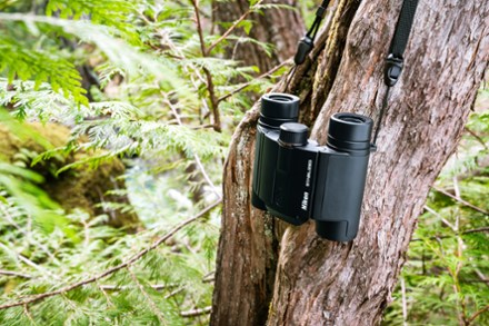 Stabilized x 25 S Binoculars