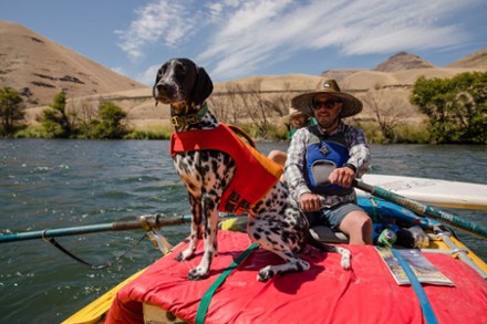 Float Coat Dog Life Jacket