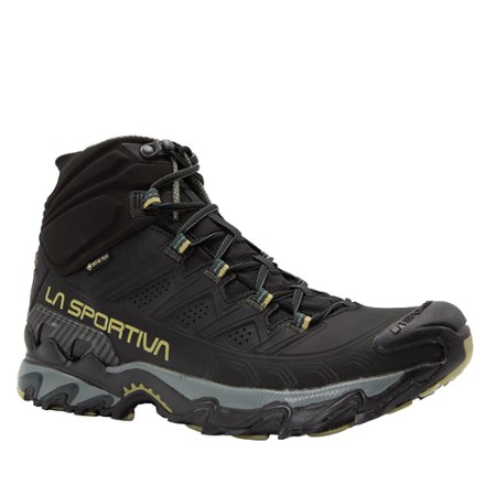 Ultra Raptor II Mid Leather GTX Hiking Boots