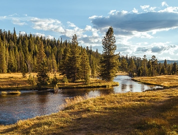 Yellowstone National Park Tours & Trips | REI Adventures