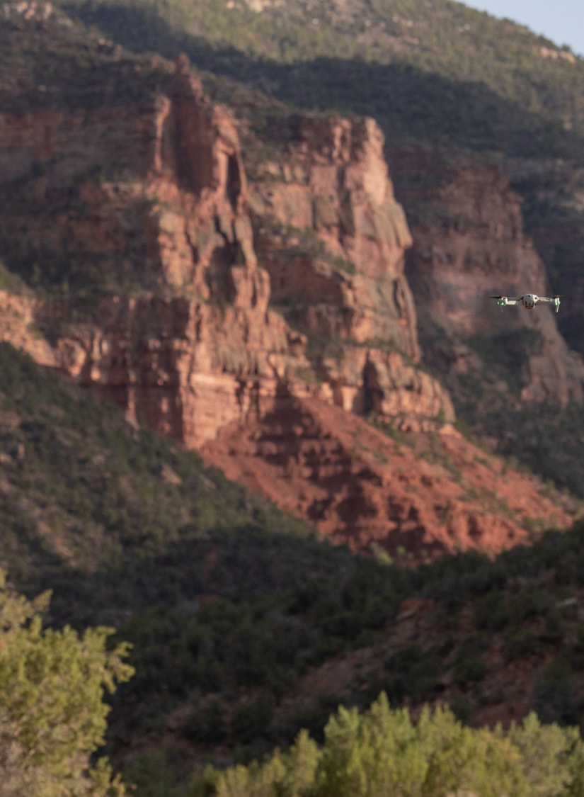 Red desert cliffs covered in green brush.