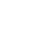 Salomon Logo