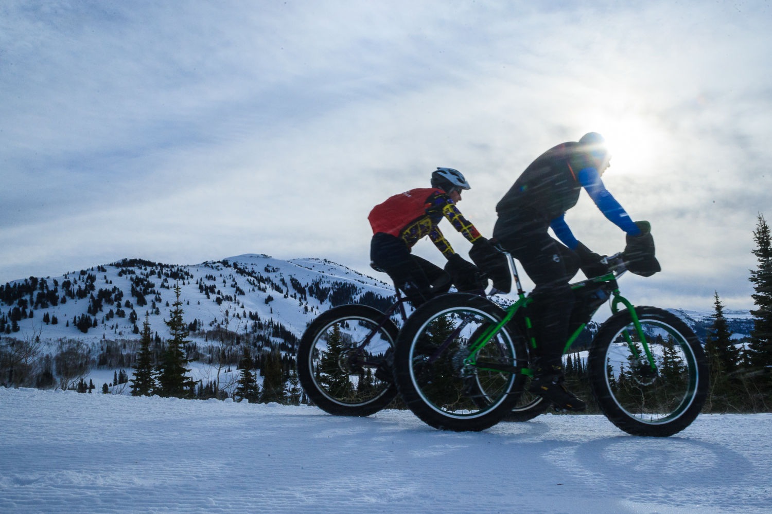 coop fat bike