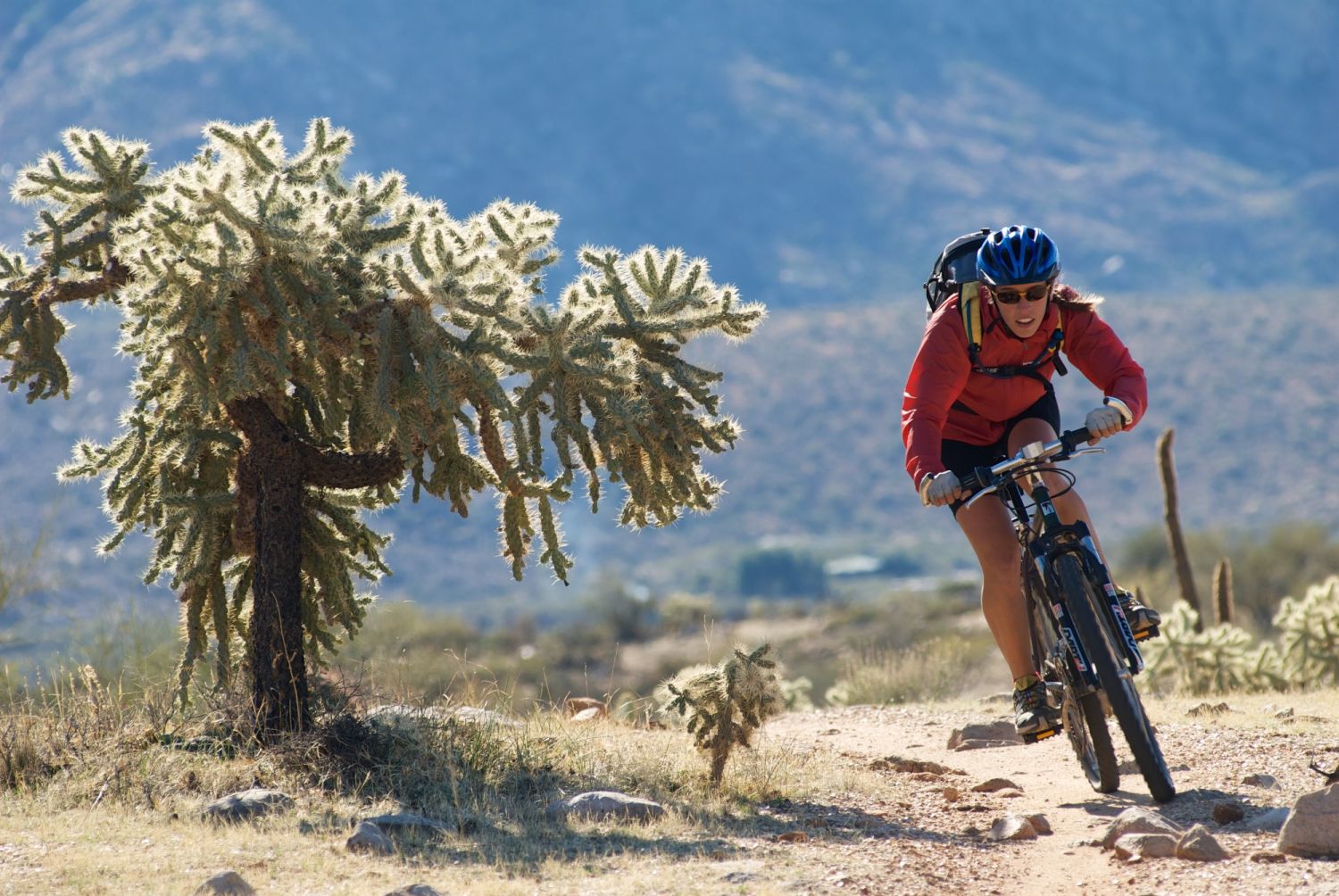 Mountain Bike Аризона