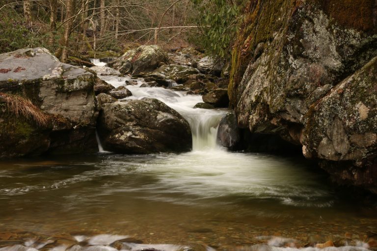 Your Guide to Rocky Fork State Park | REI Co-op Journal