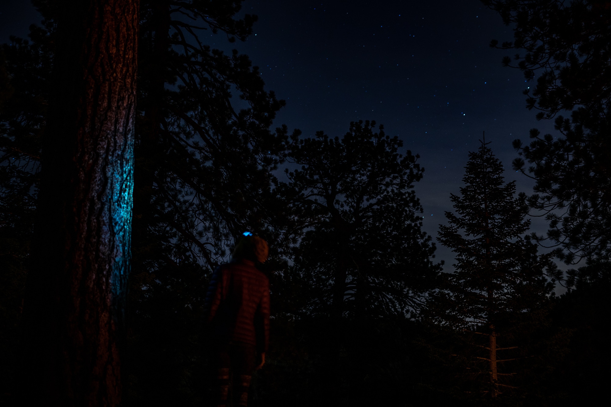 6 Tips for Being on Trail in the Dark This Winter REI Coop Journal