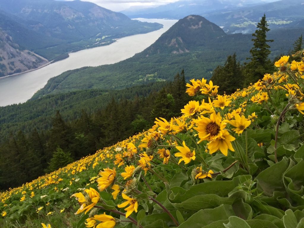 10 of the Best Hikes Washington State has to Offer | REI Co-op Journal