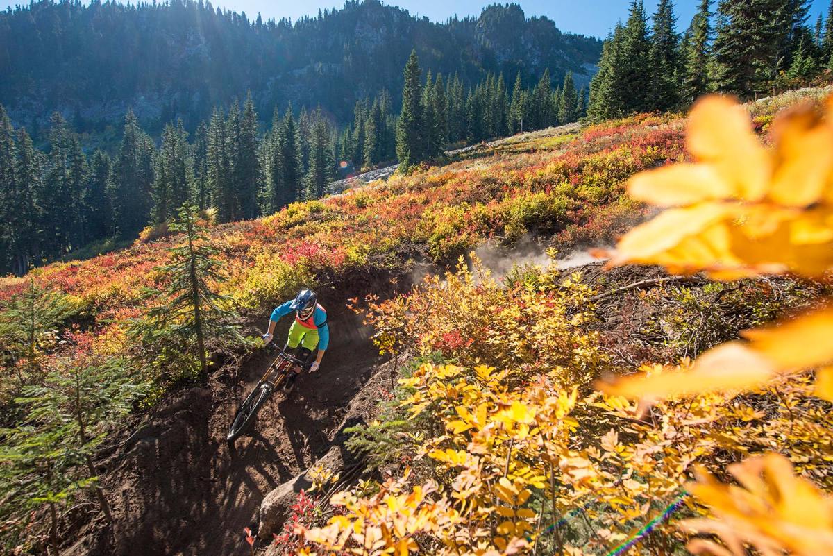 mountain biking wa