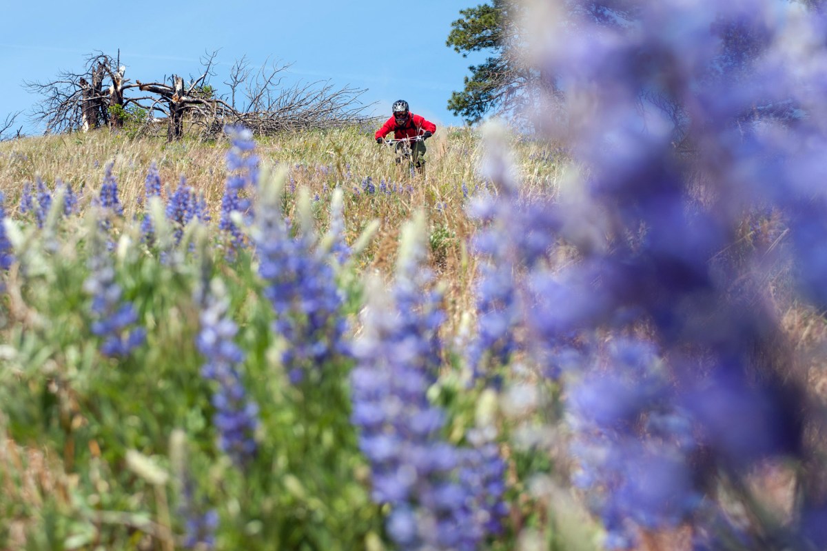 mountain biking wa