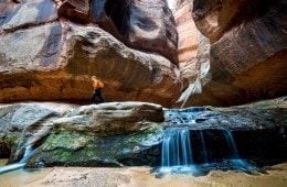 Three Classic Zion Hikes