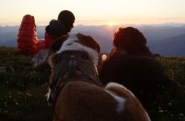 hiking with dog sunset