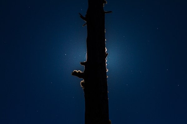 Mountains at Night