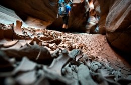 Paria Canyon