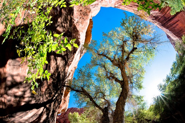 Paria Canyon