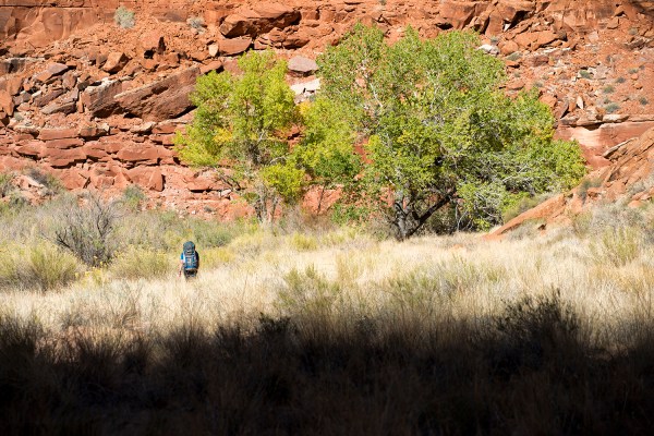 Paria Canyon