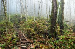 Fall Hike