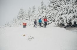 Winter Snow Shoeing