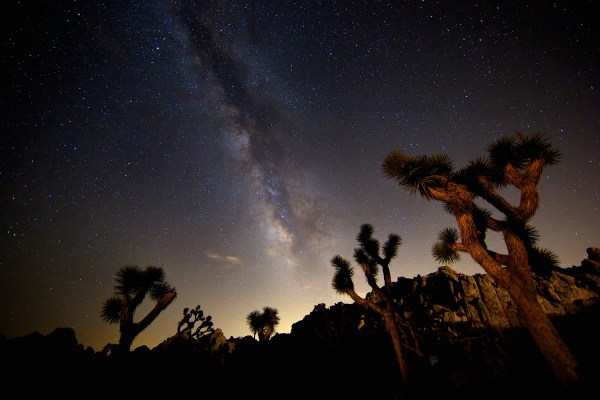 California Camping