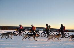 Winter Biking in the Arctic