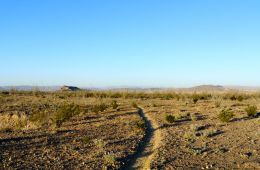 Big Bend State Park