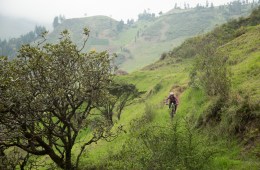 Ecuador: South America’s Mountain Biking Mecca