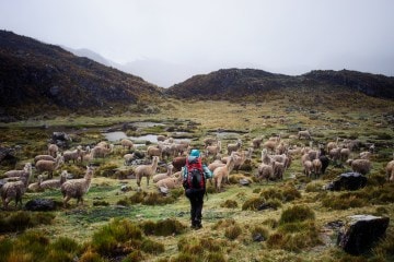 Cordillera Huayhuash