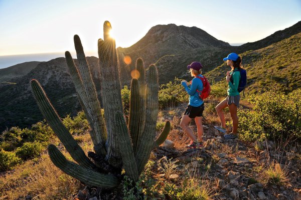 Baja Trail Running